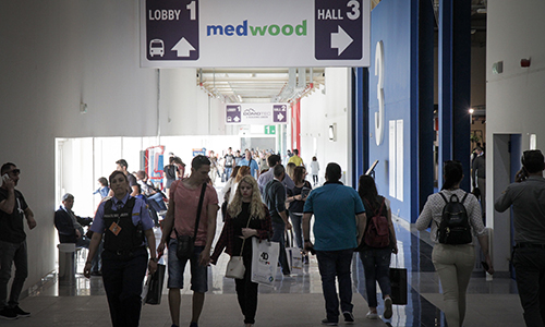 medwood medwood